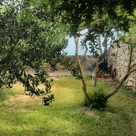 בית נופש Seaside House Orebic, Peljesac - 4569 אורביץ