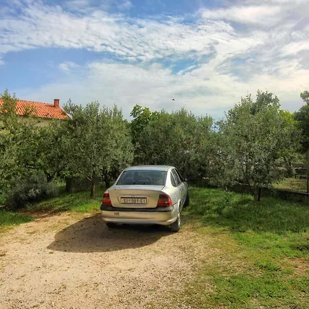 Seaside House Orebic, Peljesac - 4569 * Orebić