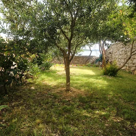 Seaside House Orebic, Peljesac - 4569