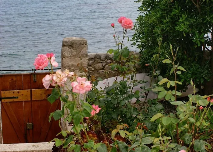 Seaside House Orebic, Peljesac - 4569 * Orebić