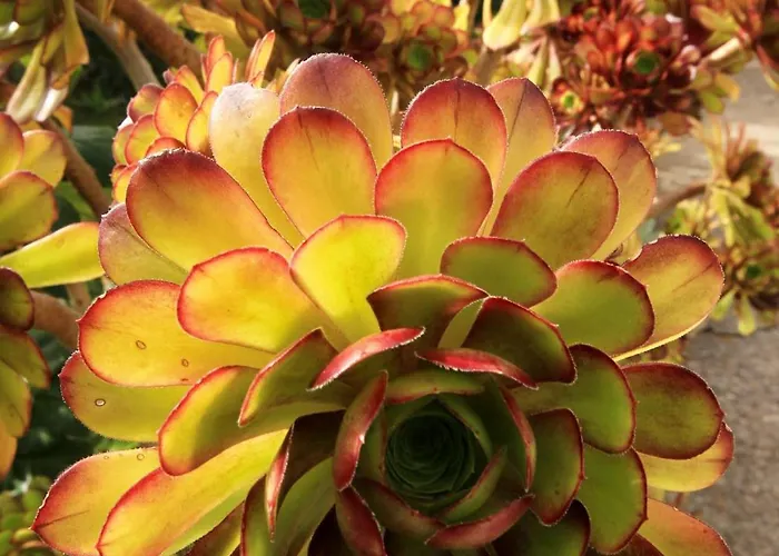 Seaside House Orebic, Peljesac - 4569 Orebić