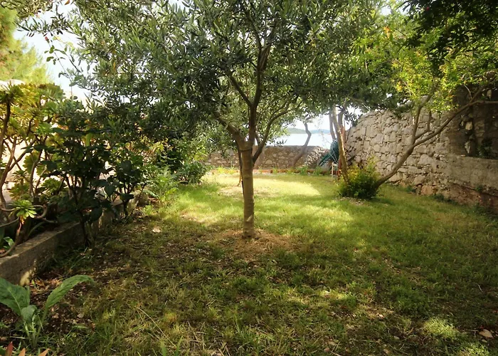 Seaside House Orebic, Peljesac - 4569