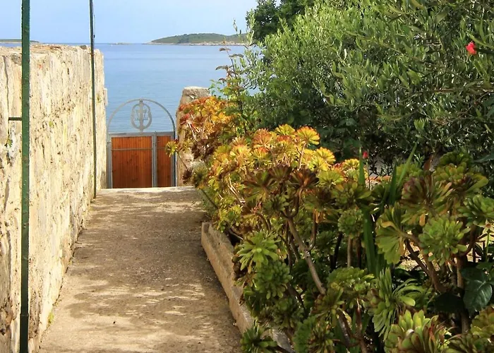 Seaside House Orebic, Peljesac - 4569 Casa de Férias